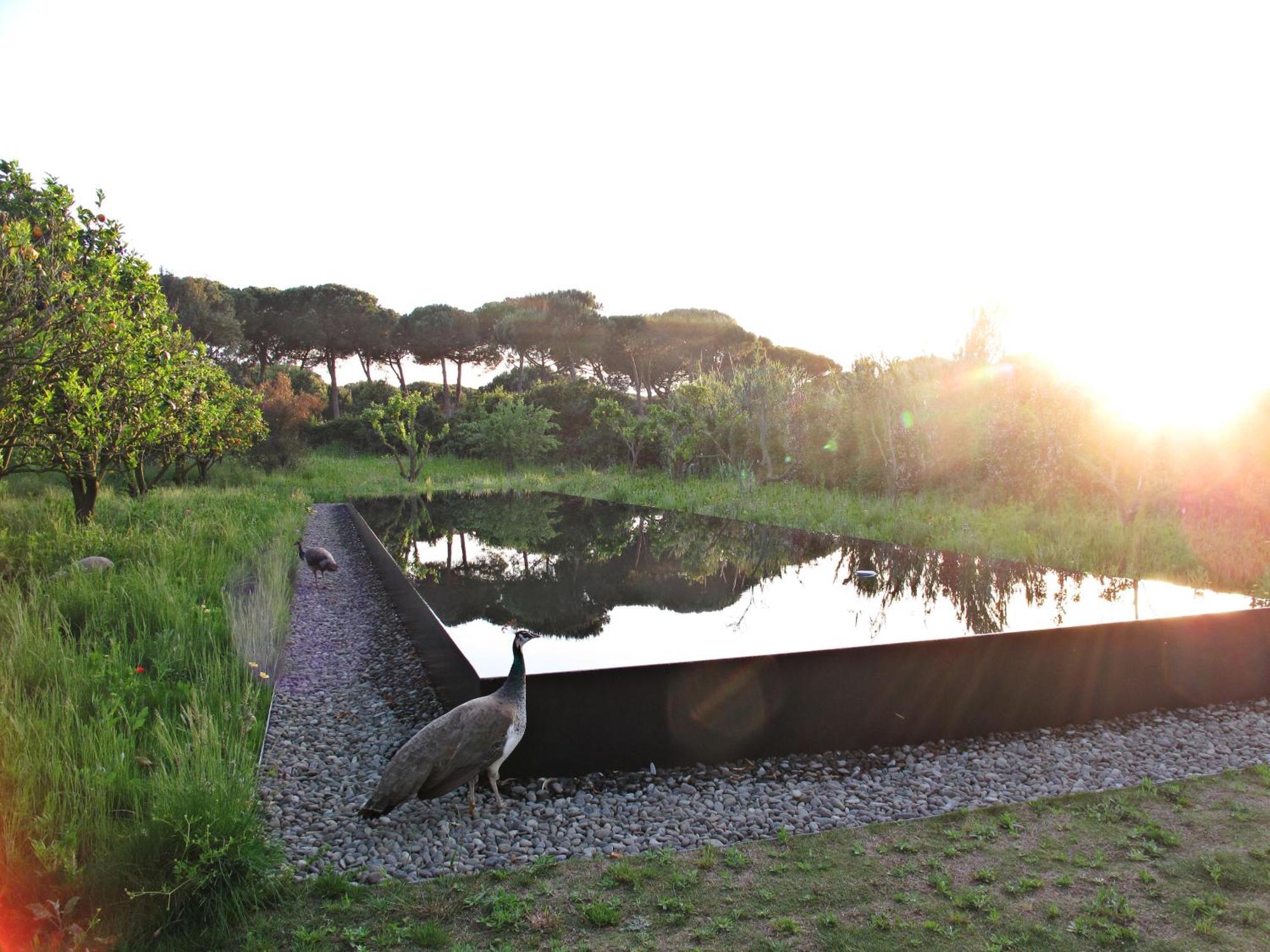 Quinta Do Miguel Villa Aldeia do Meco Kültér fotó