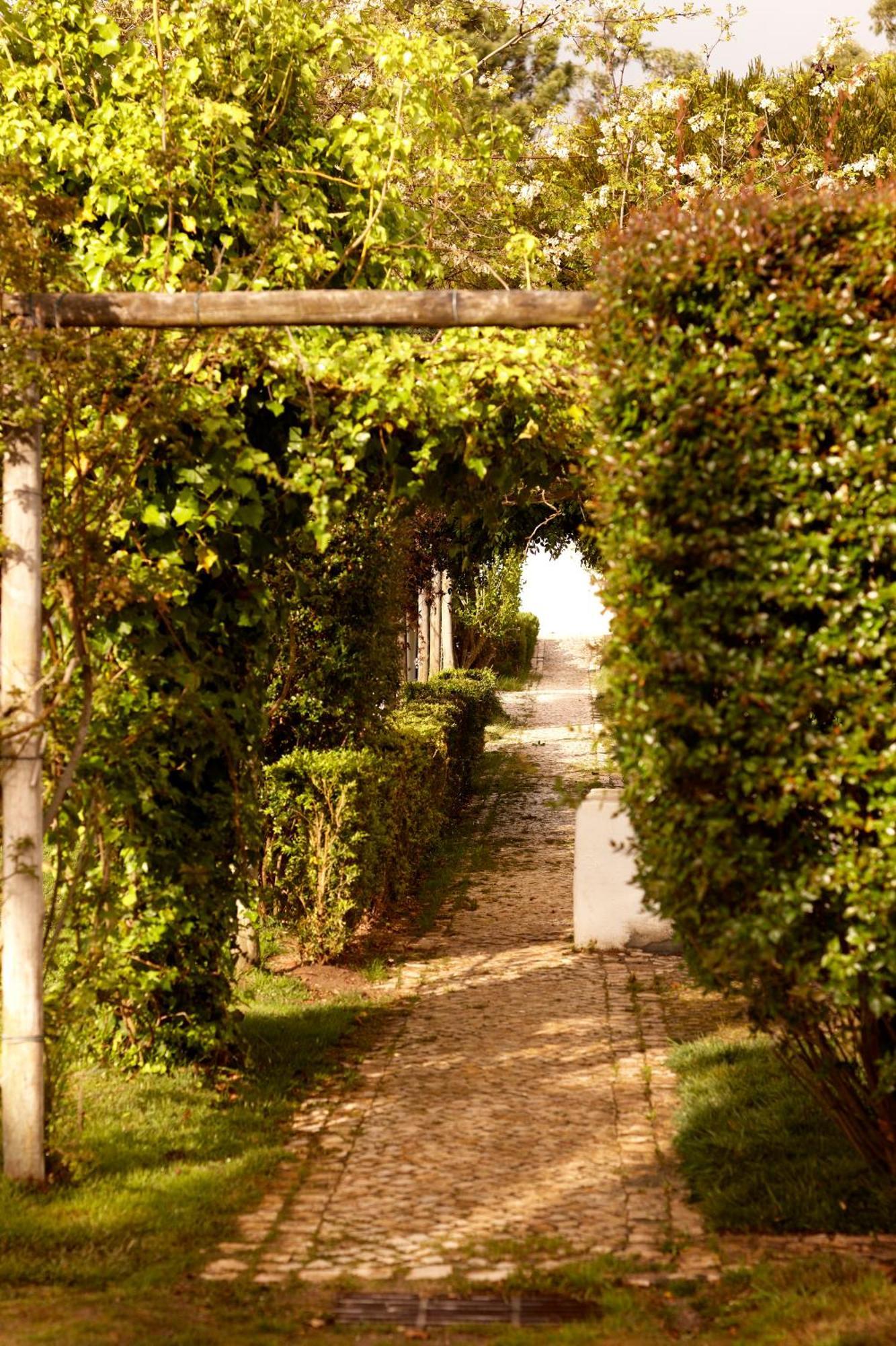 Quinta Do Miguel Villa Aldeia do Meco Kültér fotó