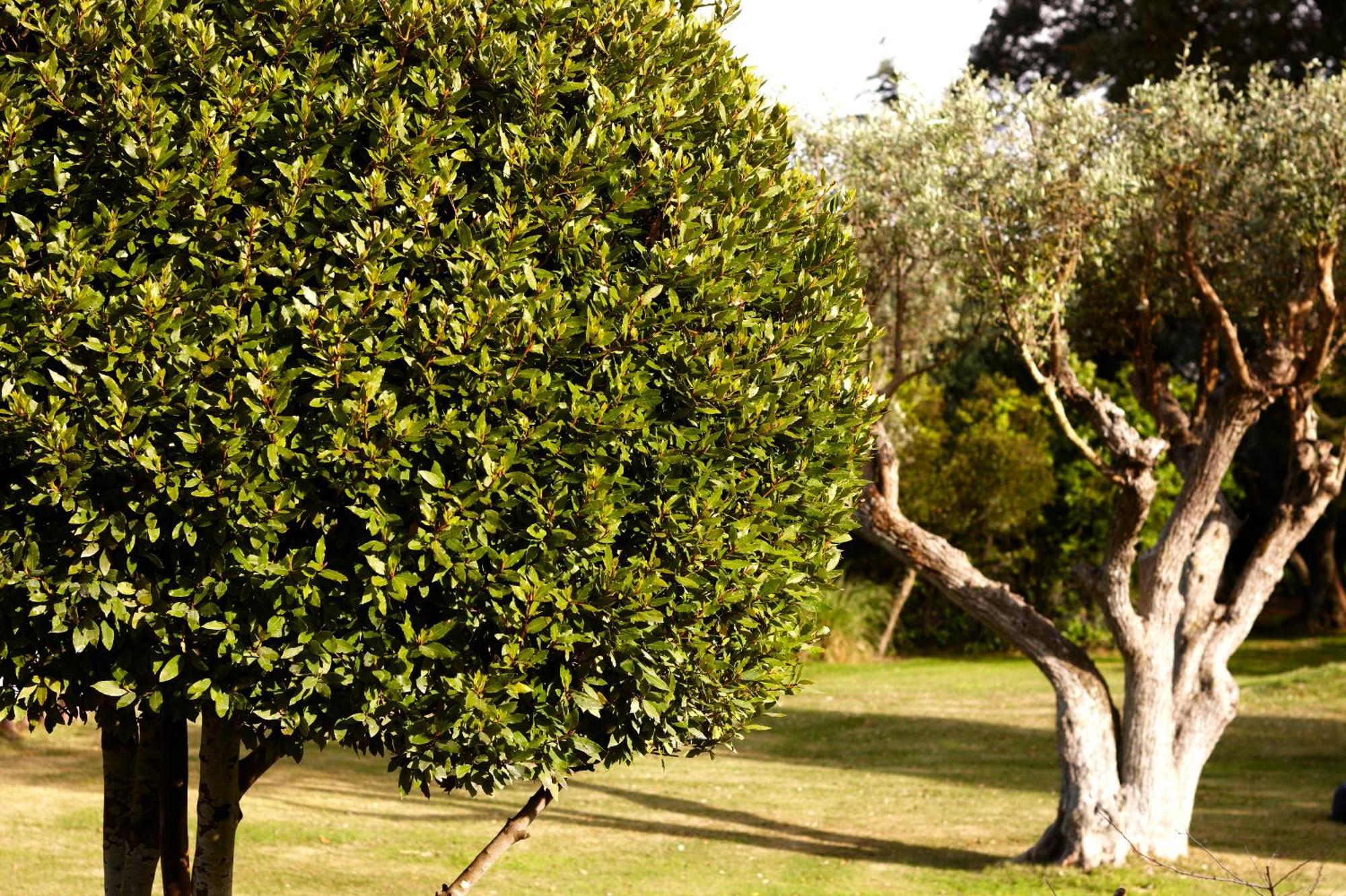 Quinta Do Miguel Villa Aldeia do Meco Kültér fotó